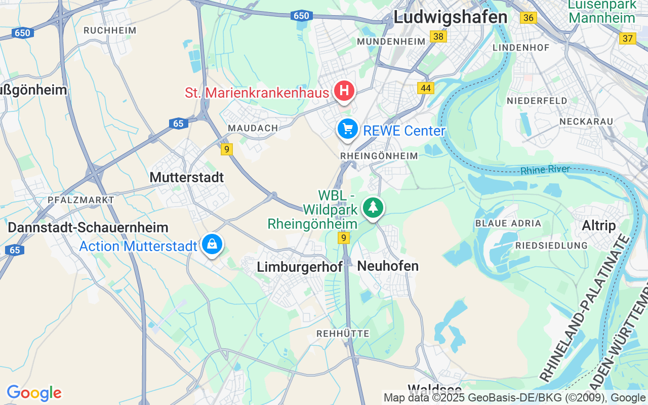Exklusive Wohnung auf 2 Etagen mit eigenen Garten in Ludwigshafen Rheingönheim